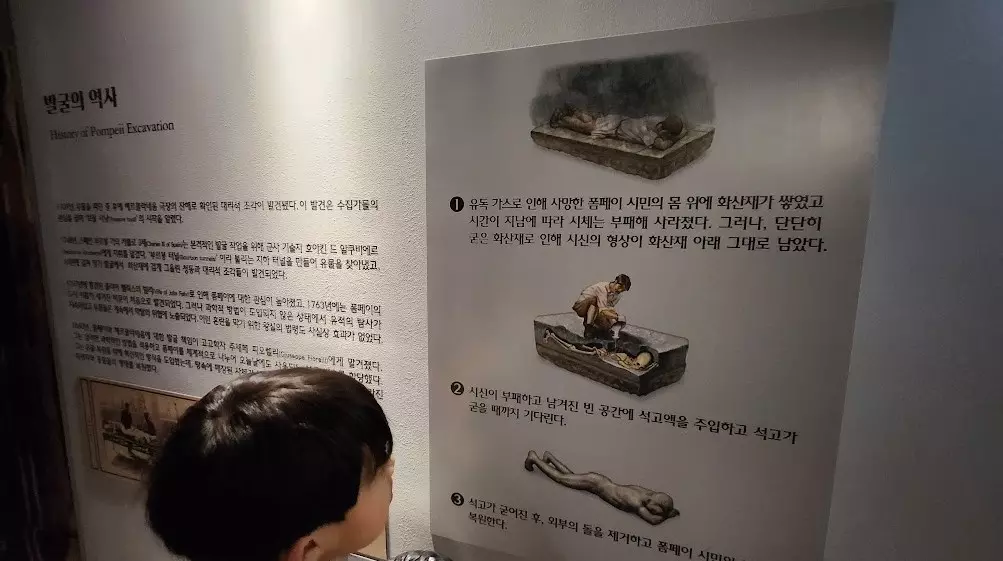 더 현대 서울 폼페이 유물전 관람 후기 사진 8