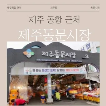 제주 동문시장 야시장 먹거리 투어 코스 안내_4
