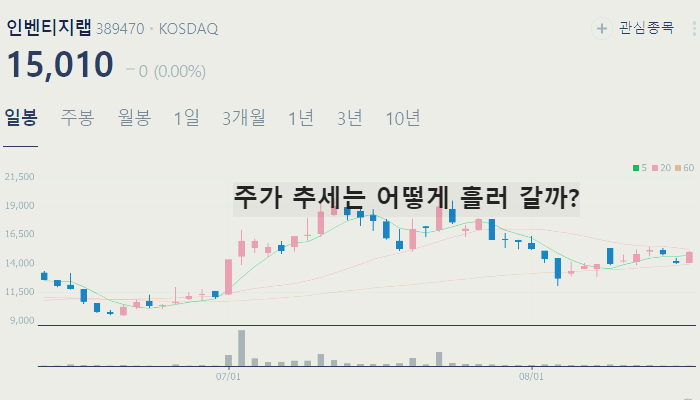 비만 치료제 관련주 대장주 TOP10