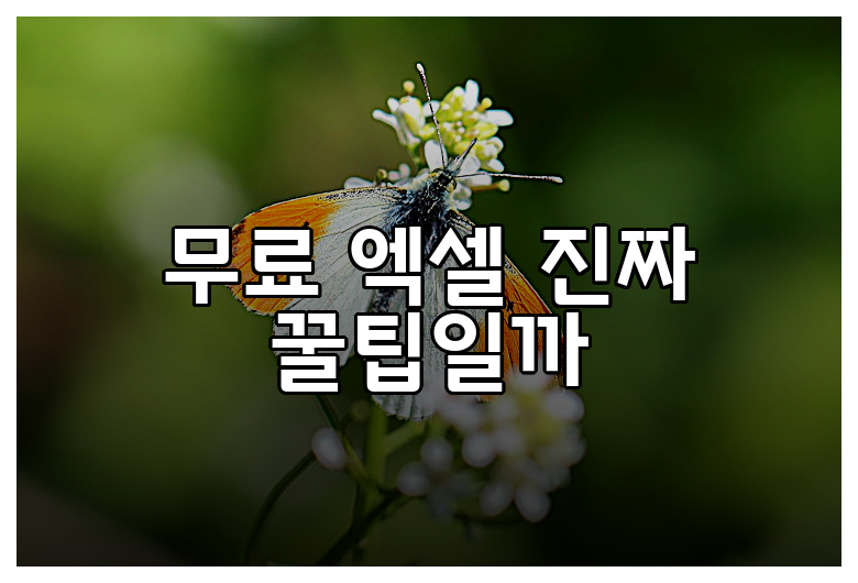무료 엑셀 진짜 꿀팁일까