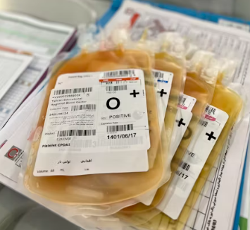 빈혈 증상 원인 치료 방법