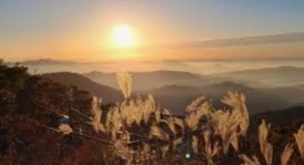 덕유산 실시간 CCTV 향적봉 설천봉