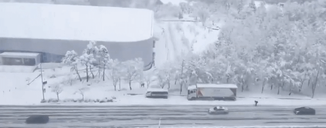 28일 사회관계망서비스(SNS) 등 온라인에는 '스키 타고 출근하는 사람' '출근길 스키어 등장! ' 등의 제목으로 사진과 영상이 잇달아 올라왔다. [사진=온라인 커뮤니티]