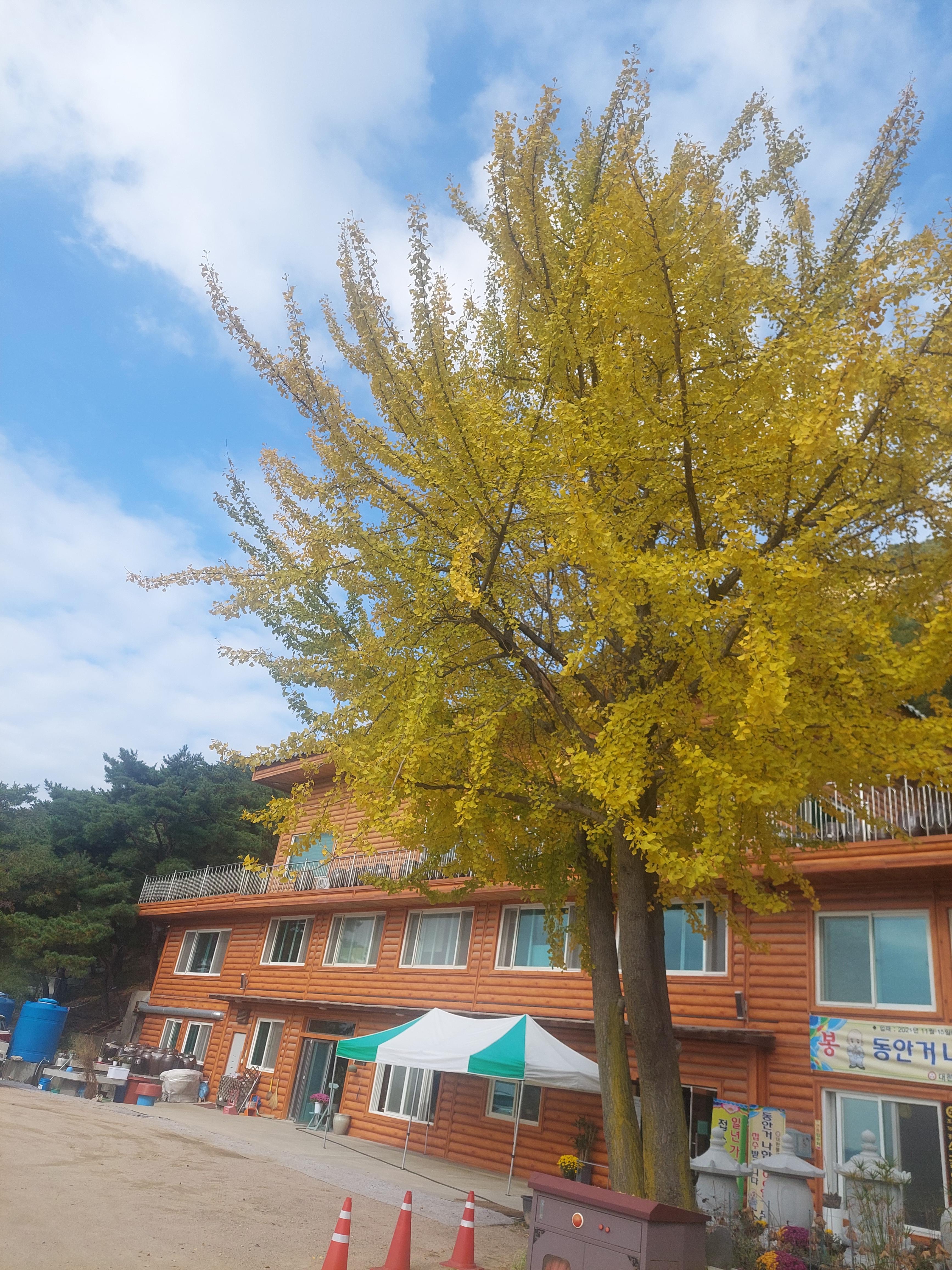우이령길