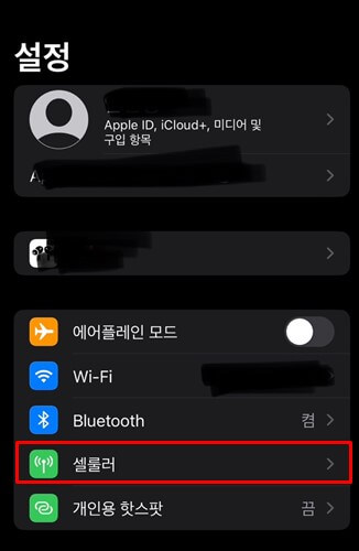 베트남 유심칩