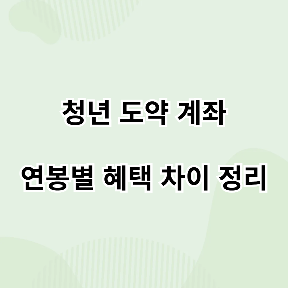 청년 도약 계좌 연봉별 혜택