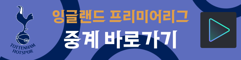 손흥민 경기일정