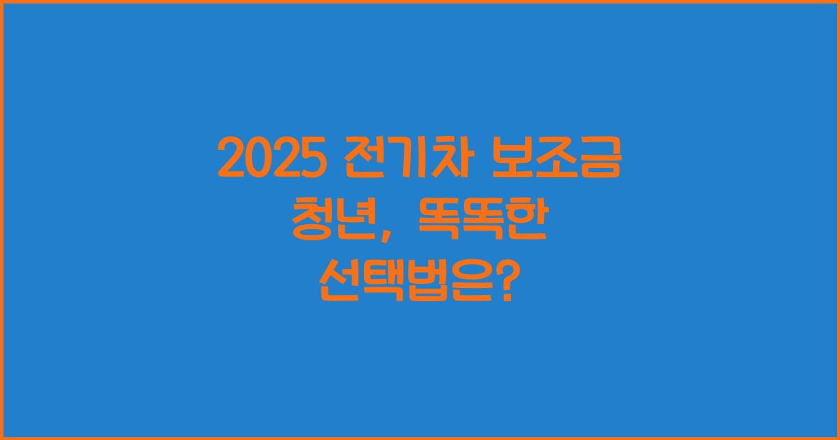 2025 전기차 보조금 청년