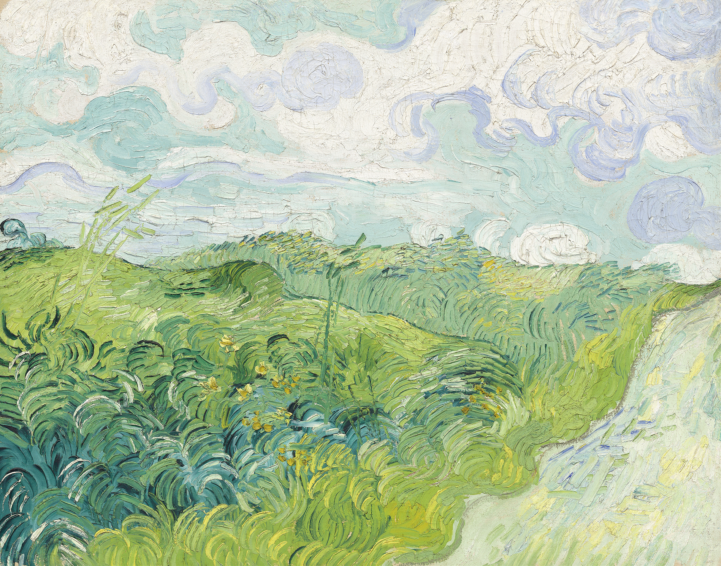 반 고흐 오베르의 초록 밀밭, 1890년 작품. 휘몰아치는 바람을 곡선과 회전의 붓터치로 생동감 있게 표현한 그림