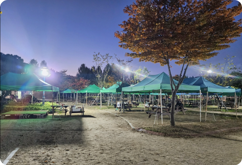 인천대공원 캠핑장 이미지 출처: 인천대공원 홈페이지