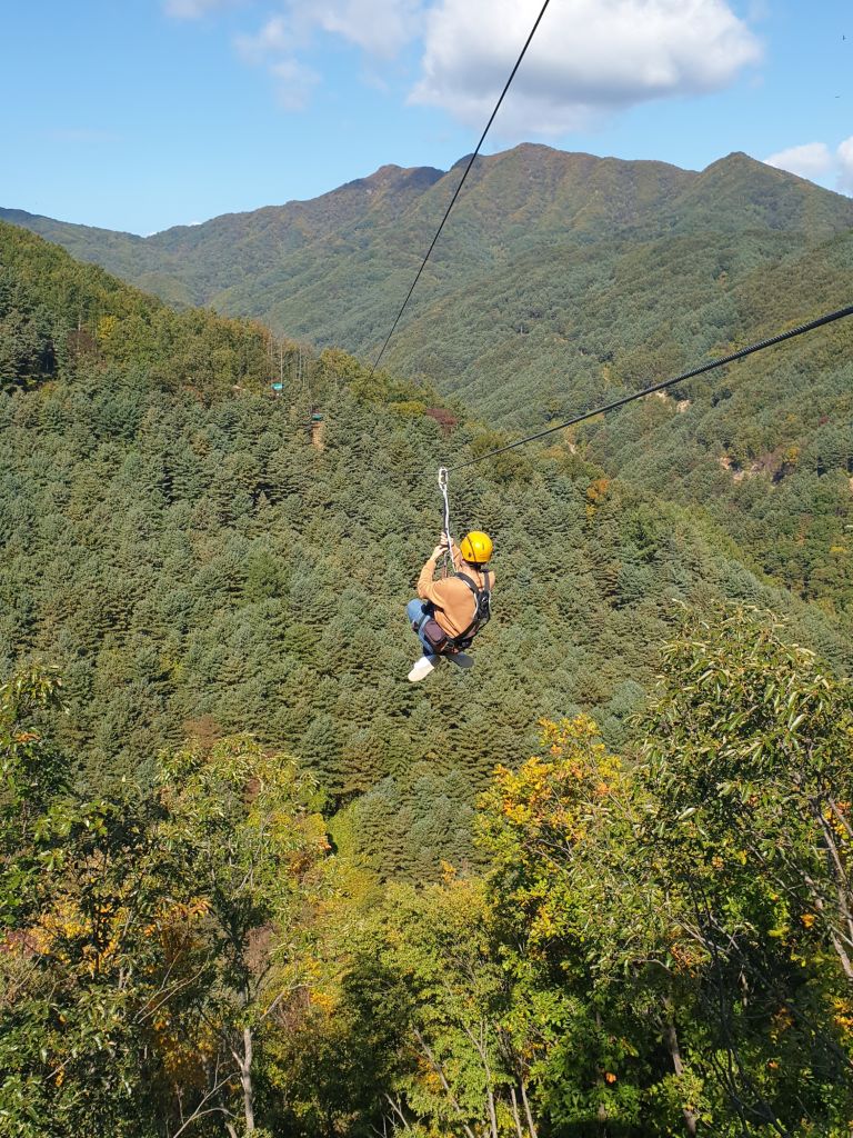 경기도-가평-브리지-짚라인