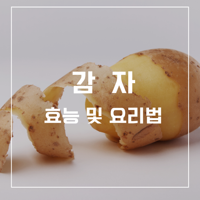 감자 효능 및 요리법