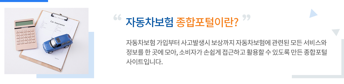 자동차보험종합포털이란