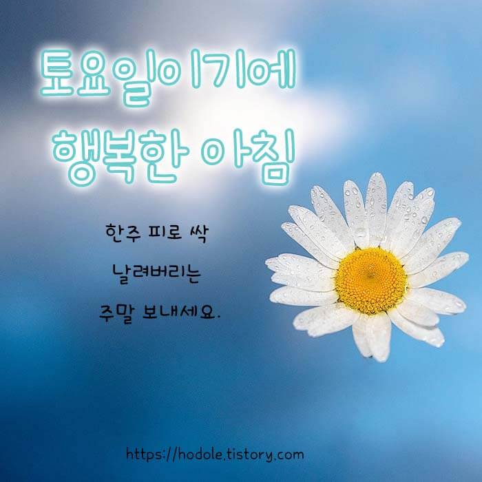 시원한 8월 이미지