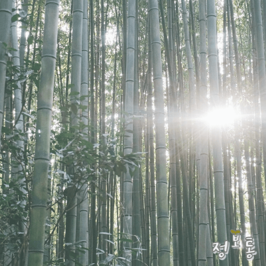 5월 여행지 베스트 50