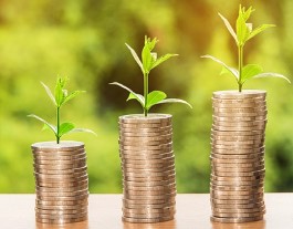 자발적 퇴사 실업급여