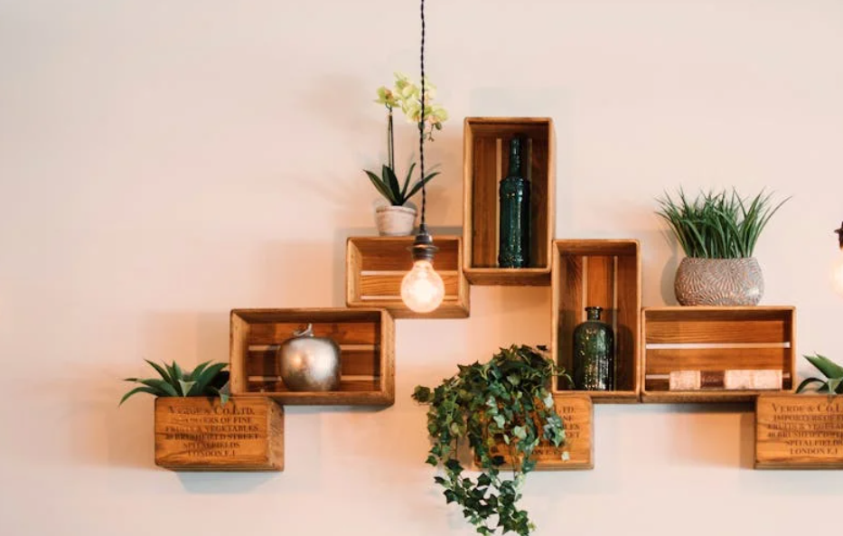 원목 박스 선반과 식물을 활용한 내추럴 원룸 인테리어