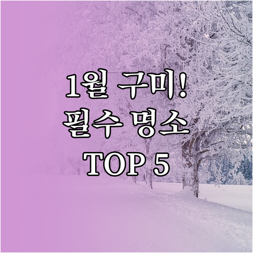 1월에 방문하기 좋은 구미 명소 5곳..