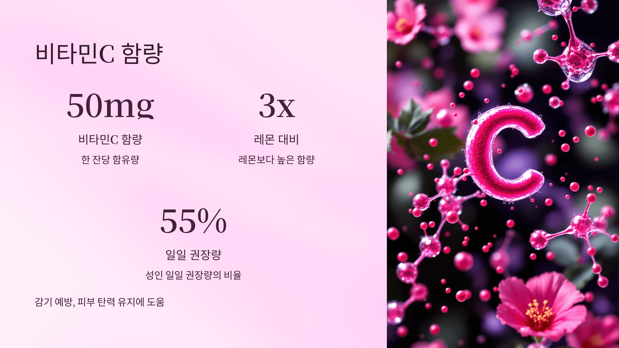 히비스커스 사진입니다.