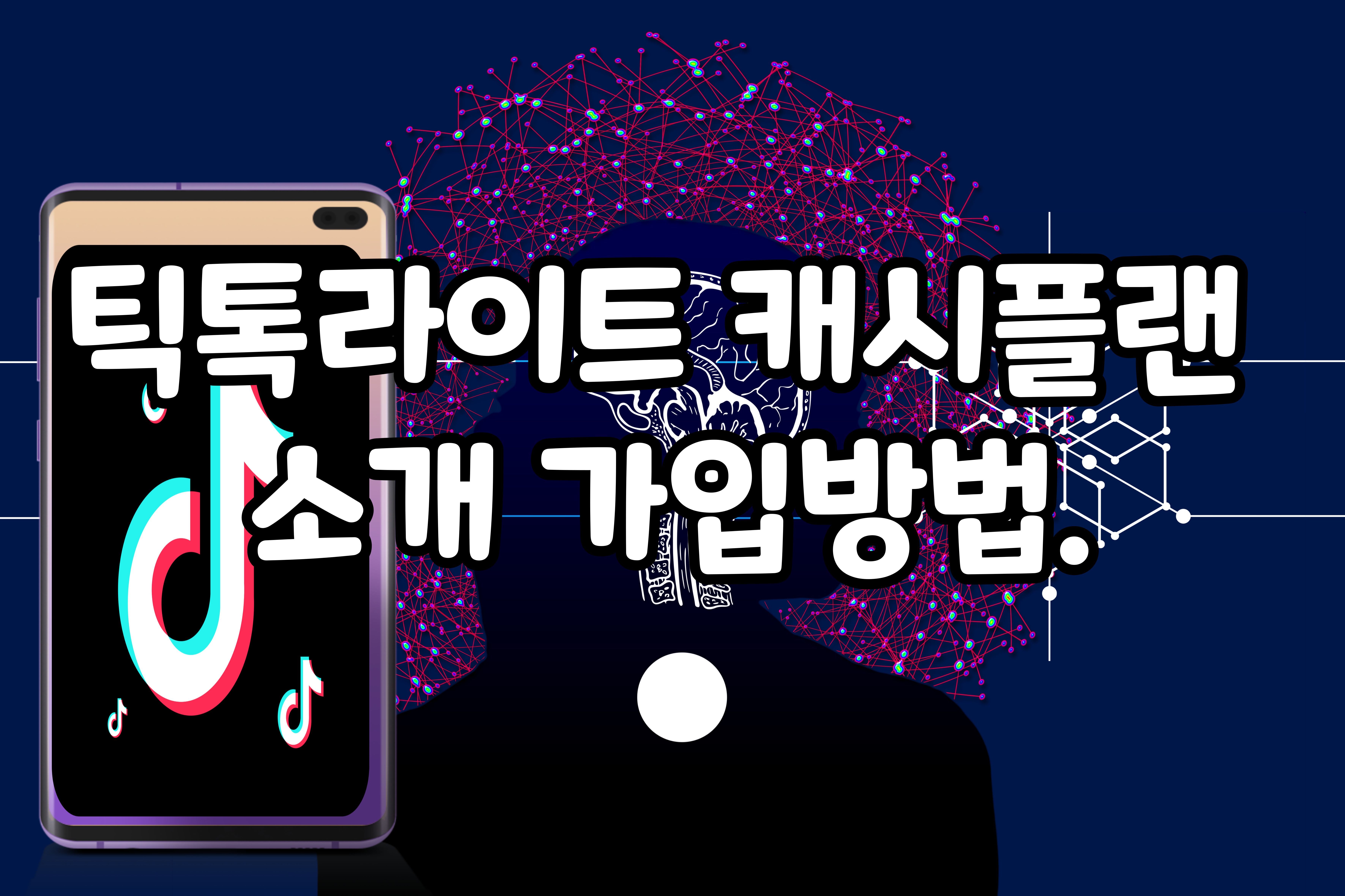 틱톡라이트캐시플랜소개가입방법