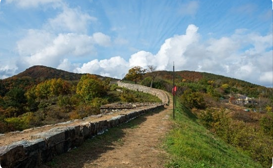 포항시 지역문화정책 분석