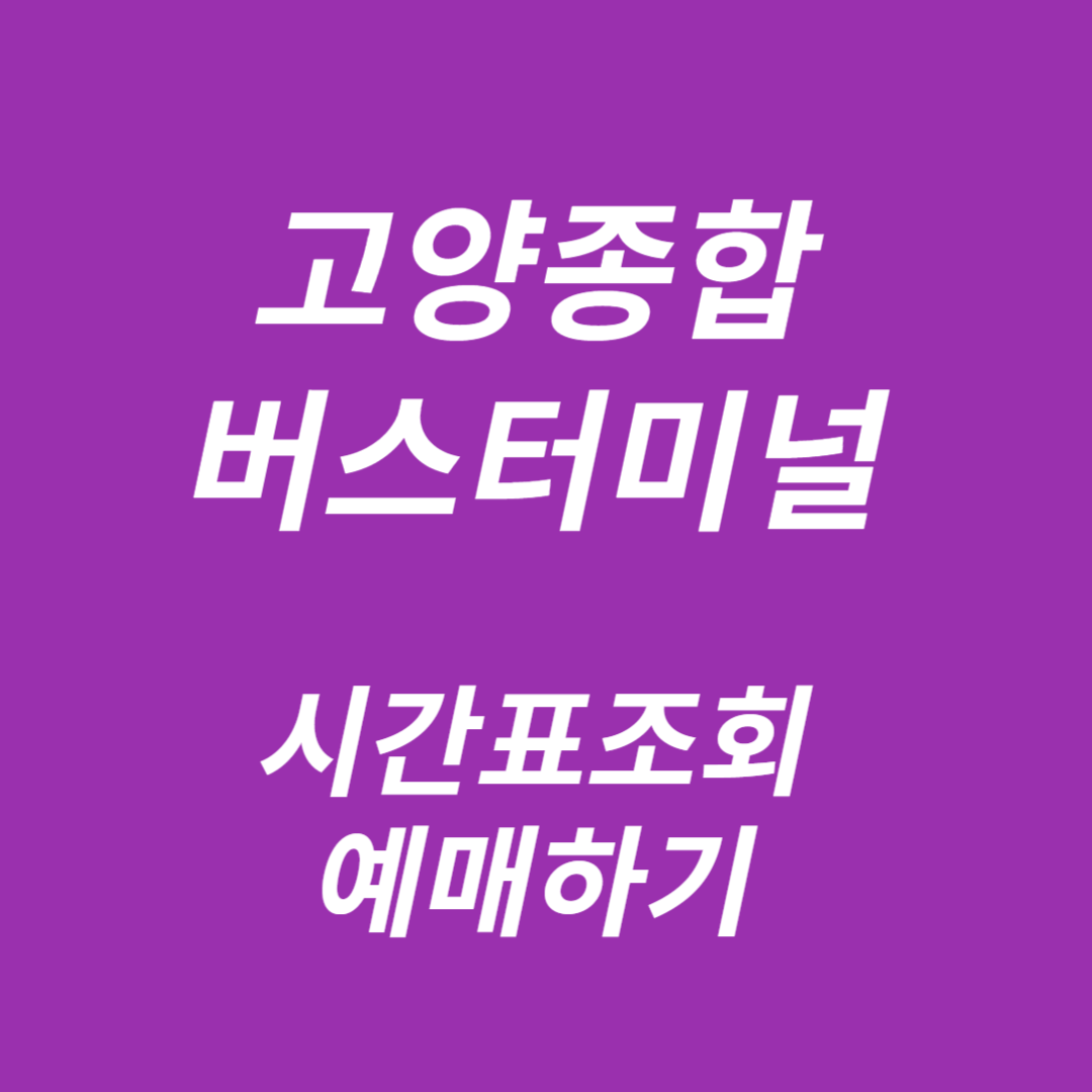 고양종합버스터미널 시간표조회, 예매