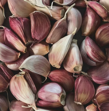 수족냉증에 좋은 음식