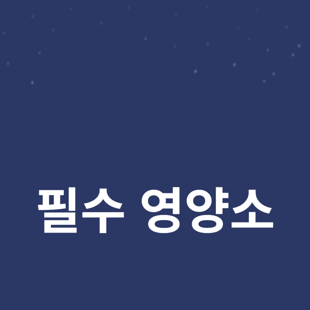 건강을 위한 필수 영양소 섭취 방법과 그 중요성