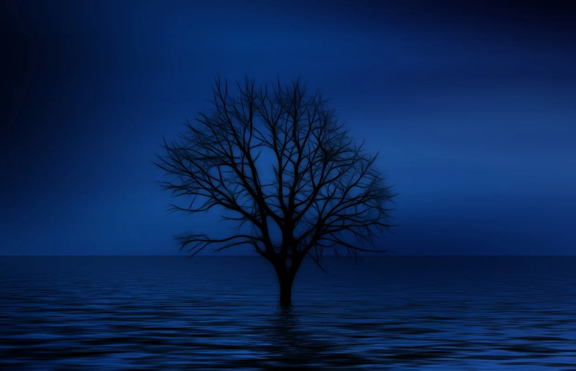 분석 심리학의 선구자 칼 융 알아보기