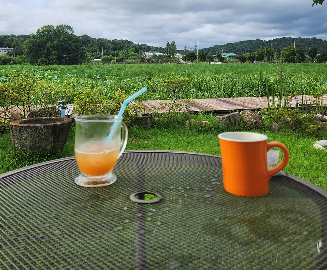 청년 취업 지원 제도