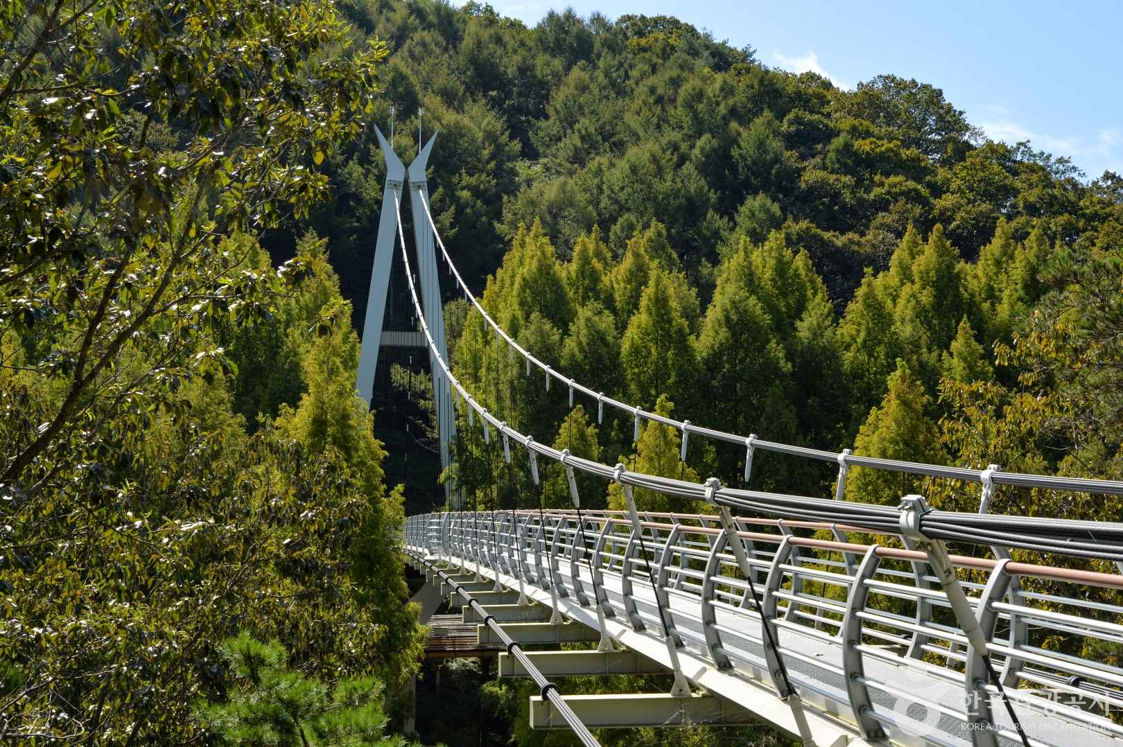 장태산 자연휴양림 출렁다리