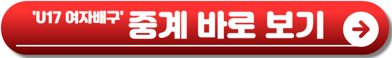 U17 여자배구