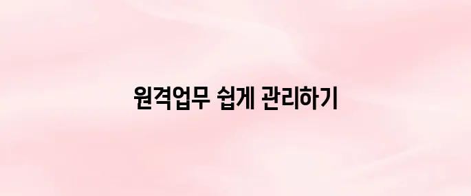 서울시교육청 원격업무포털 (http://evpn.sen.go.kr/)