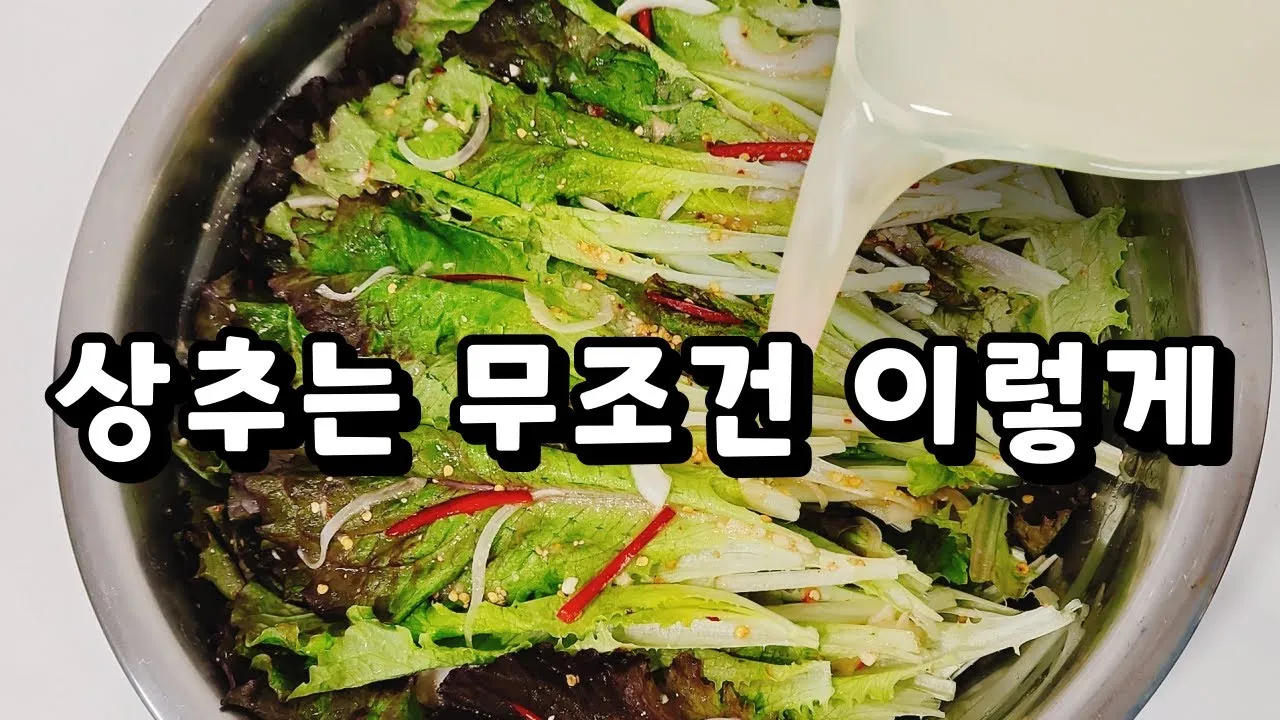 상추 물주는 시기 및 주의사항과 재배 노하우 정리_5