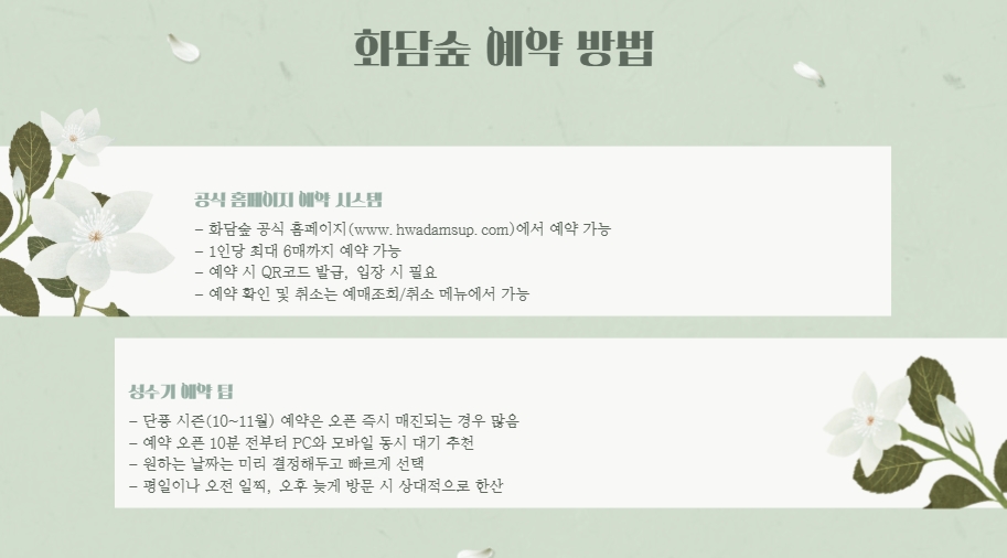 서울 근교 단풍 명소, 화담숲 예약과 모노레일 꿀팁 총정리 🍁