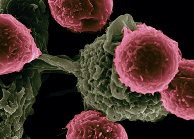 화장품 PFAS 과불화화합물