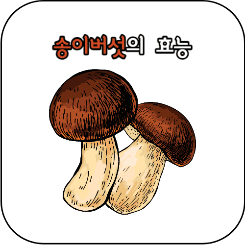 송이버섯 썸네일