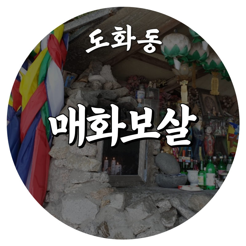 도화동 매화보살