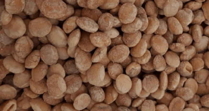 사차인치 효능 - 7