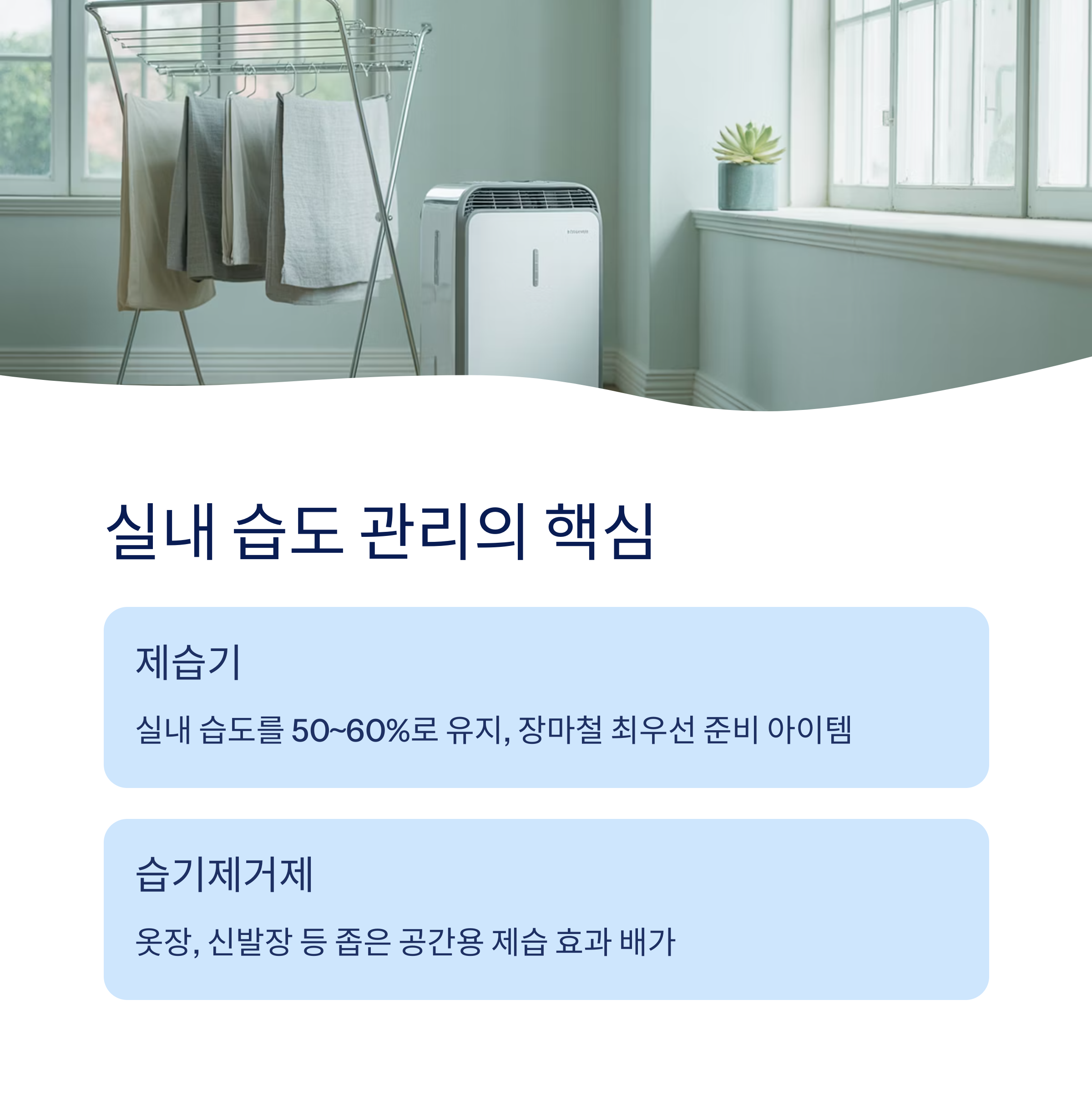 제습기 또는 습기제거제