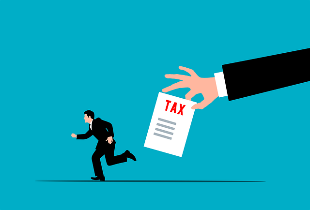 펫보험가입조건비용