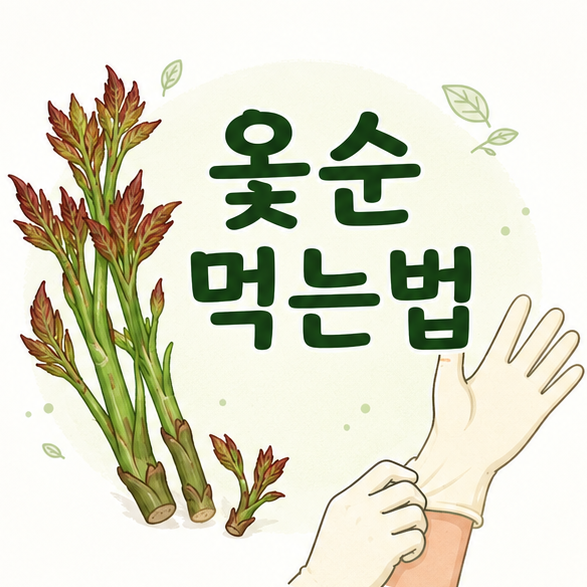 어린 옻순과 장갑을 낀 손으로 옻순을 먹기 전 주의사항을 표현한 이미지