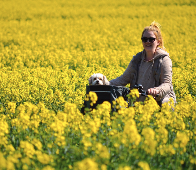 2025 구리 유채꽃축제