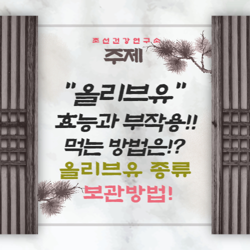 올리브유 효능 5가지 추천 종류 먹는 섭취 보관 방법 부작용