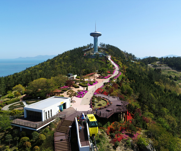 전남 여행 - 완도