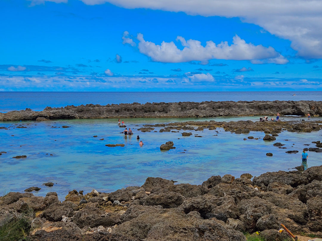 샥스코브 스노쿨링
