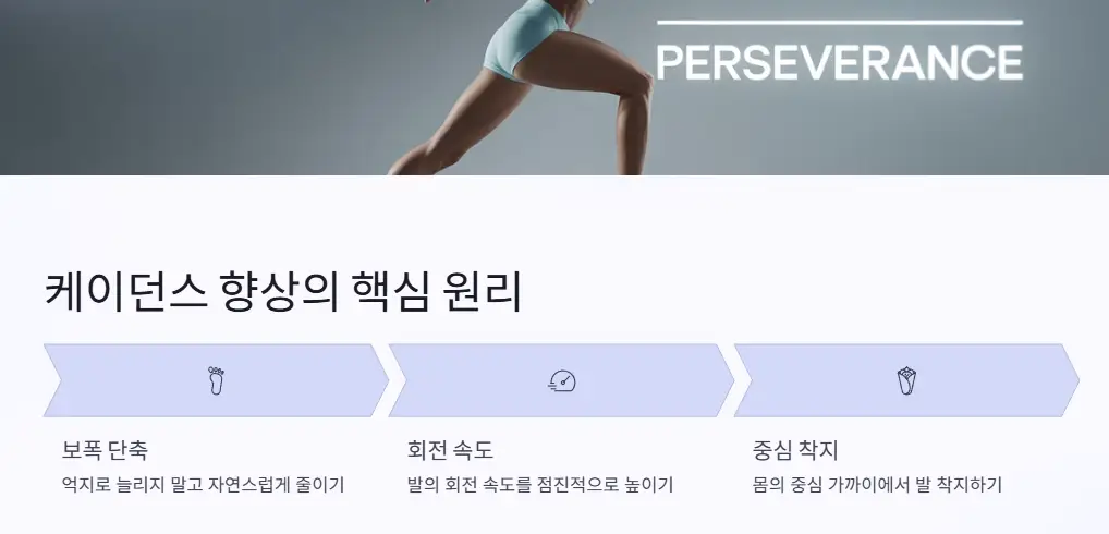 향상-원리