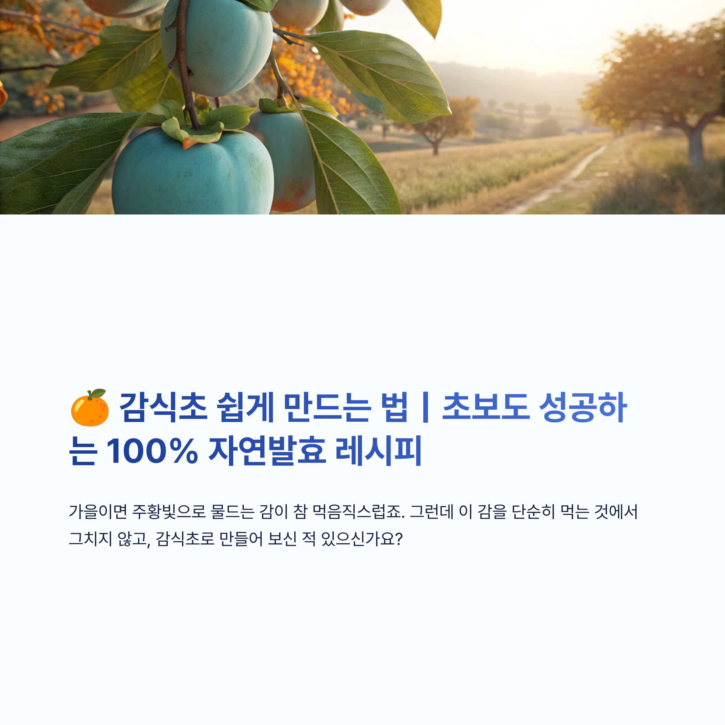 감식초 쉽게 만드는 법 알아보기