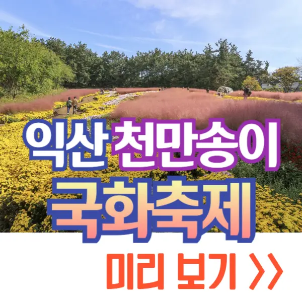 익산 천만송이 국화축제