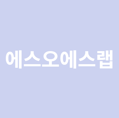 에스오에스랩 공모주